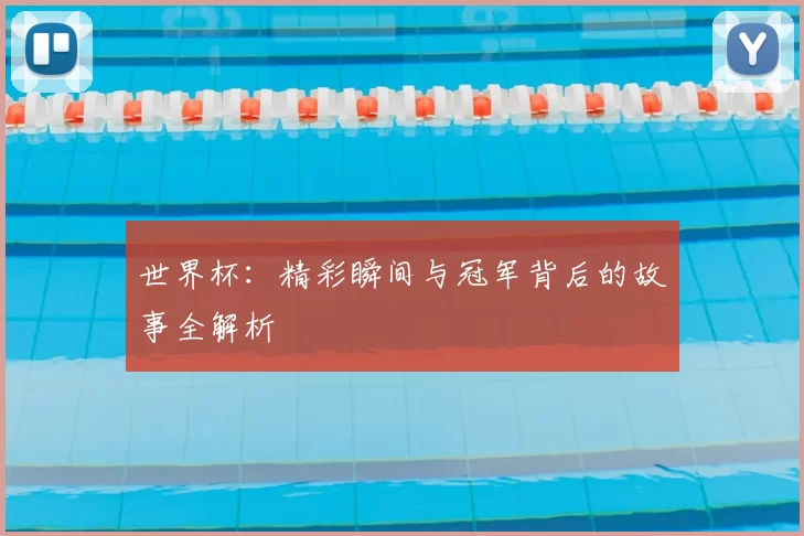 世界杯：精彩瞬间与冠军背后的故事全解析