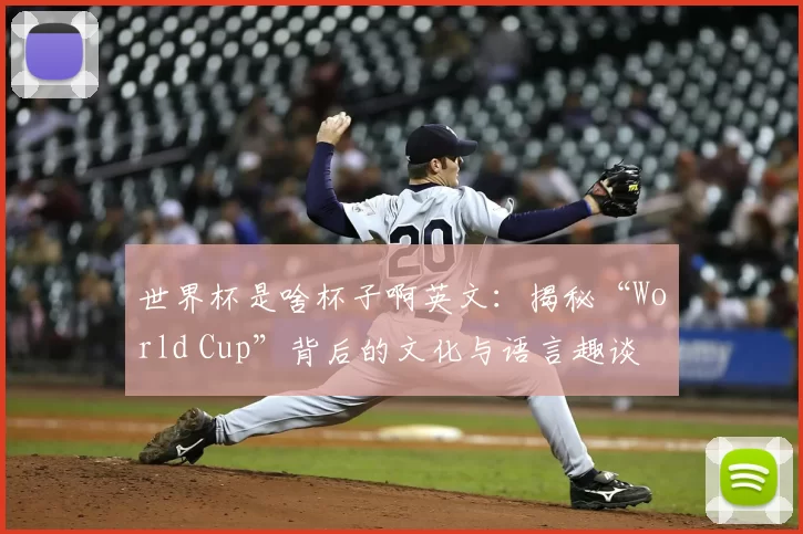 世界杯是啥杯子啊英文:揭秘“World Cup”背后的文化与语言趣谈