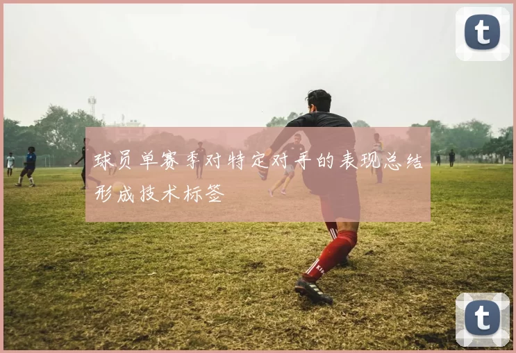 球员单赛季对特定对手的表现总结形成技术标签