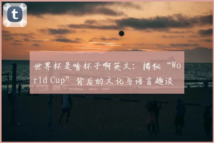 世界杯是啥杯子啊英文：揭秘“World Cup”背后的文化与语言趣谈