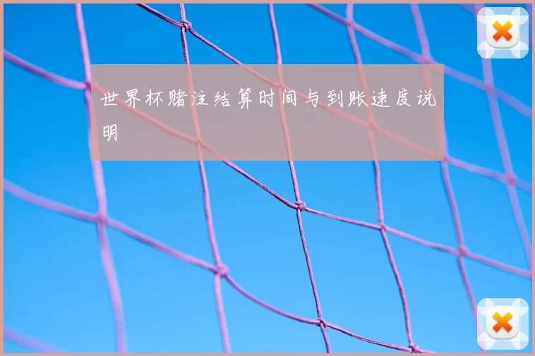 世界杯赌注结算时间与到账速度说明