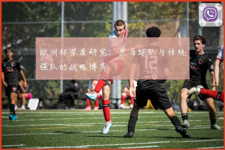 欧洲杯深度研究：黑马球队与传统强队的战略博弈