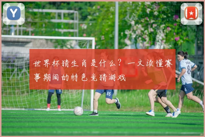 世界杯猜生肖是什么?一文读懂赛事期间的特色竞猜游戏