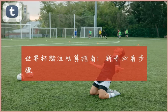 世界杯赌注结算指南：新手必看步骤