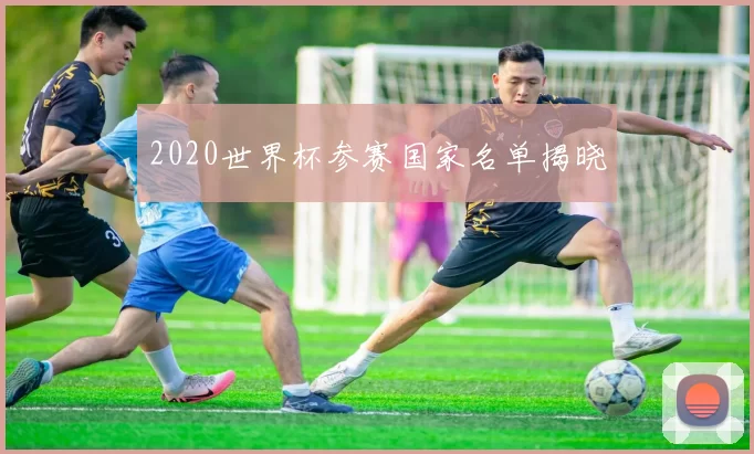 2020世界杯参赛国家名单揭晓